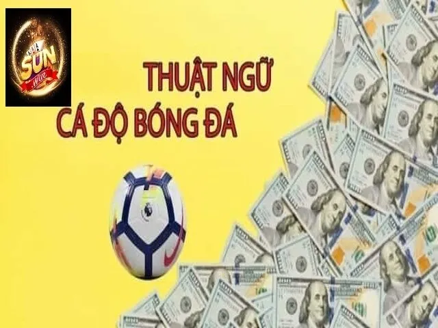 thuat ngu ca cuoc bong da 6762d9ff6cee3